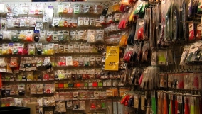 Forest and trees Forest and trees